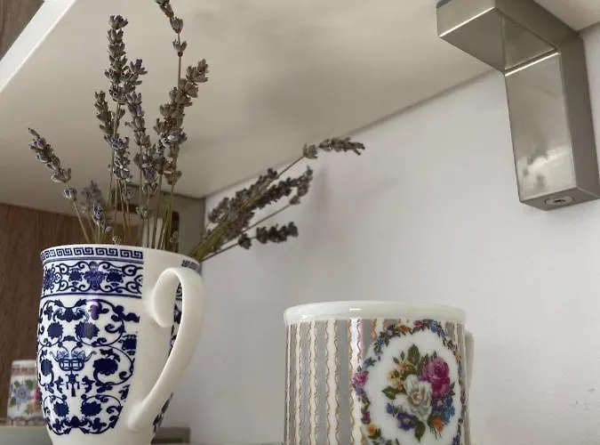 公寓 Maslina 奥瑞比克