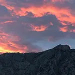 Maslina *
