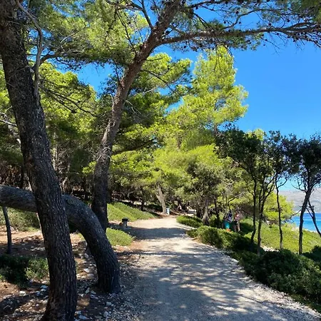 Apartamento Maslina Orebić